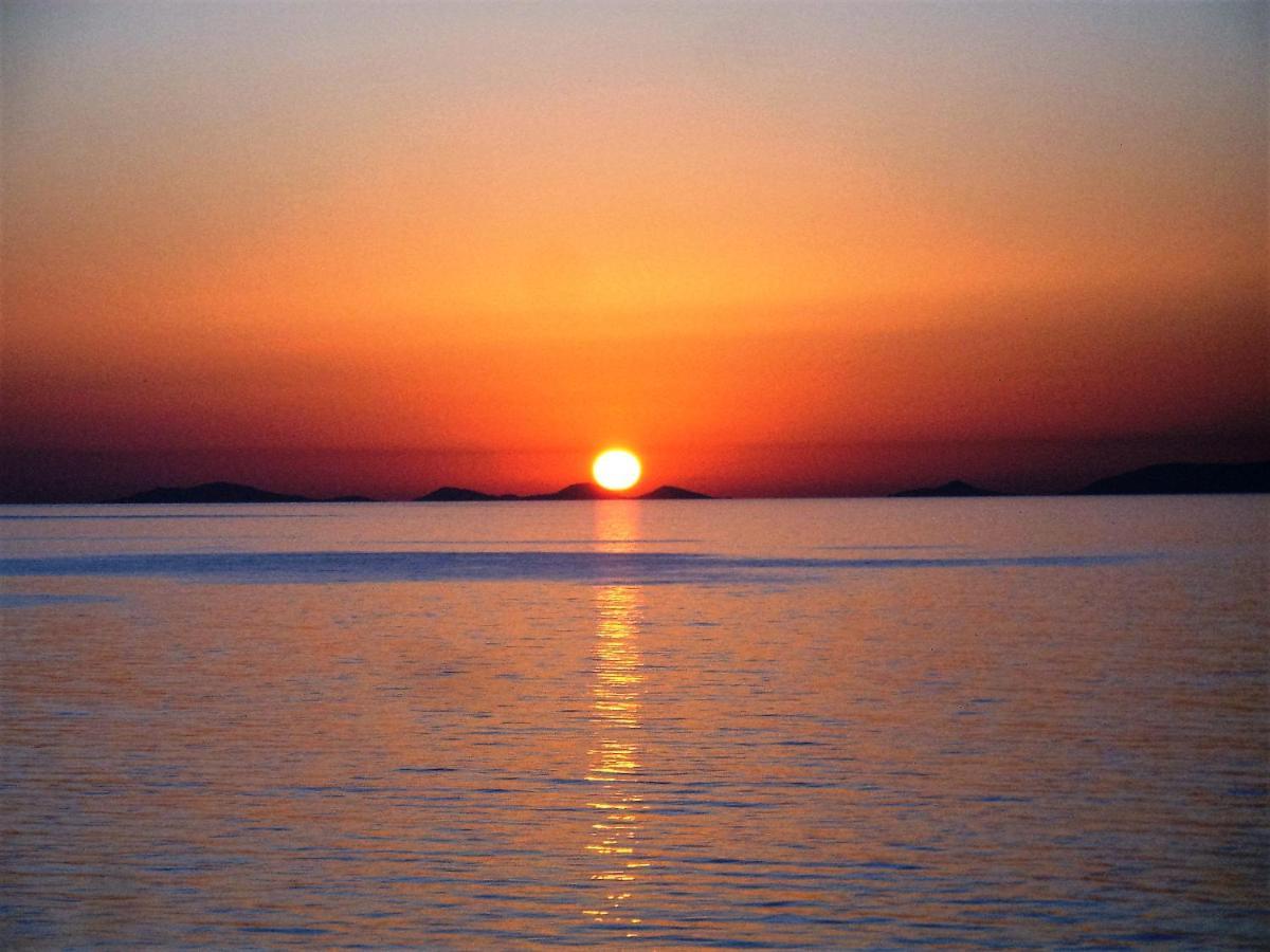 Alba Stupendo Appartamento In Villa Fronte Mare - Golfo Dell'Asinara - Internet Free Valledoria  Luaran gambar