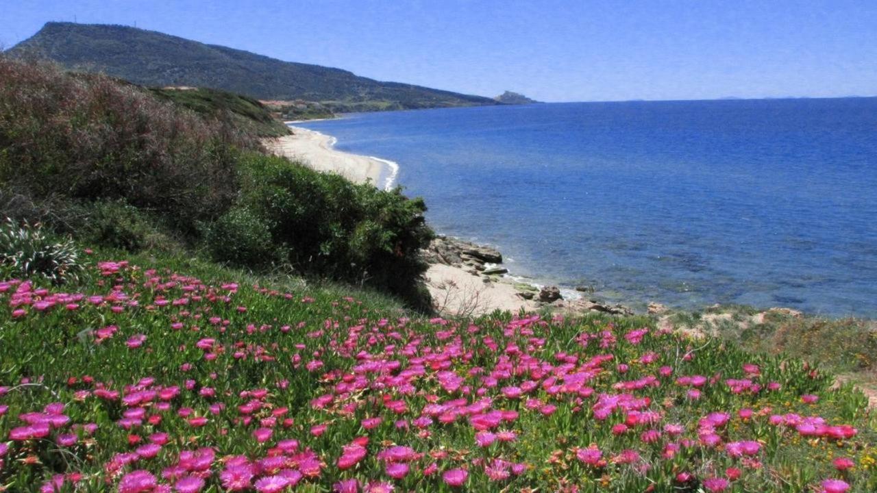 Alba Stupendo Appartamento In Villa Fronte Mare - Golfo Dell'Asinara - Internet Free Valledoria  Luaran gambar