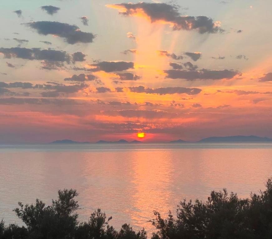 Alba Stupendo Appartamento In Villa Fronte Mare - Golfo Dell'Asinara - Internet Free Valledoria  Luaran gambar